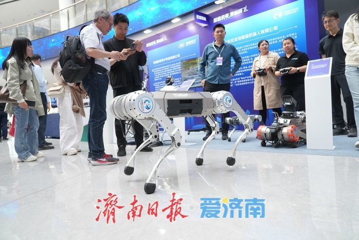 济南机器人展 “含科量” 十足，百种机器人惊艳全场