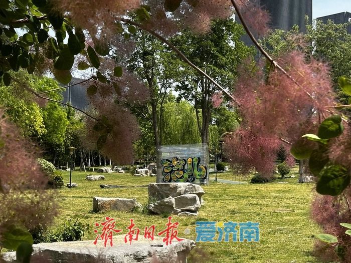 近郊露营“一位难求”？济南市区就有块人少好停车的“宝藏”绿地