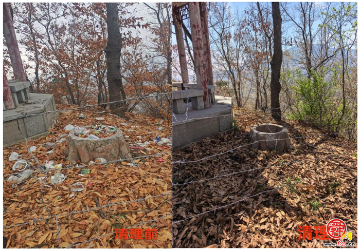 百人聚力净山野 生态守护筑青山 济南“一城山色”药乡森林公园百人净山活动圆满收官