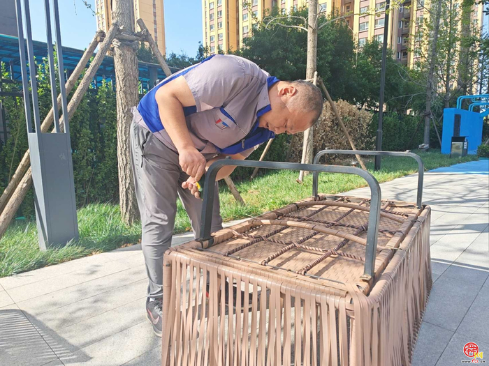 七天，一份关于“照常”的答卷