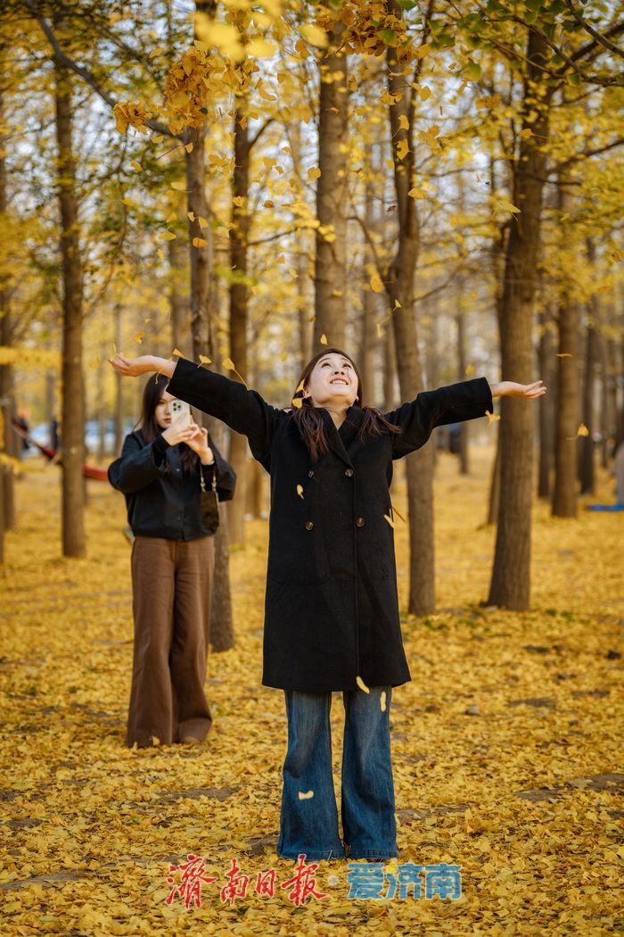 济南黄河南岸初冬：生态韵致绵长，冬景诗意斐然