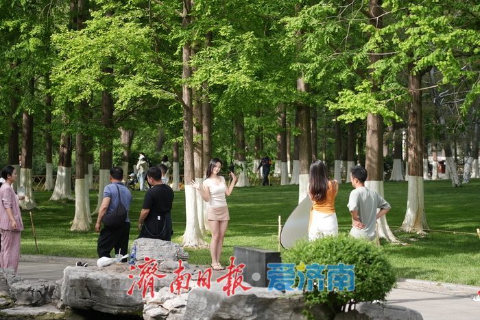 暮春时节绿意浓，济南五龙潭公园变身“绿野仙踪”