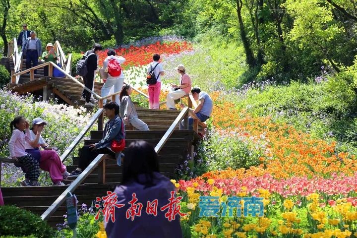 五一畅玩红叶谷 花海+套票一键解锁