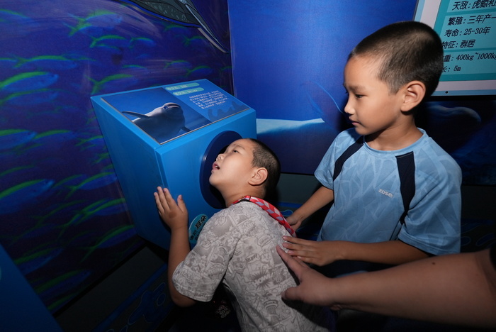 暑期接近尾声 游客“海底”觅清凉