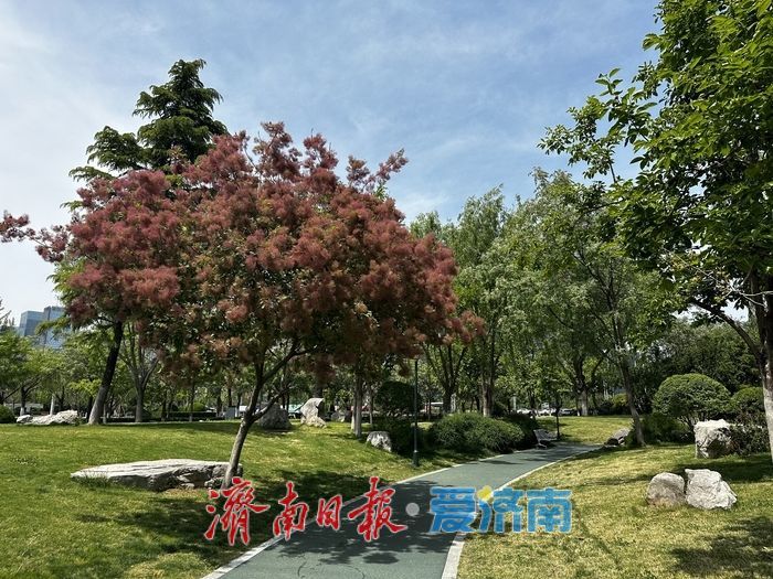 近郊露营“一位难求”？济南市区就有块人少好停车的“宝藏”绿地