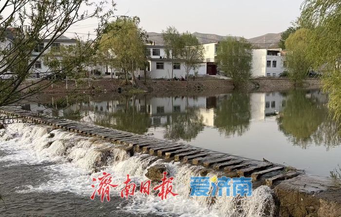 一年四季 泉在济南丨来玉符河边放个假