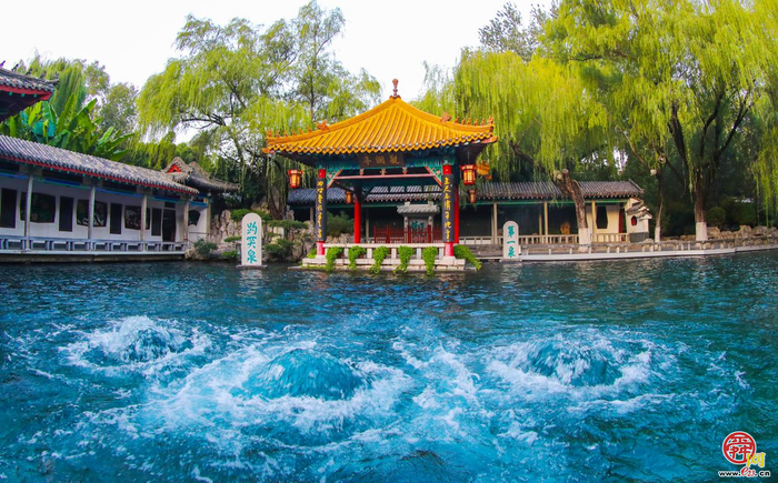 第46届趵突泉金秋菊展即将点亮泉城秋色