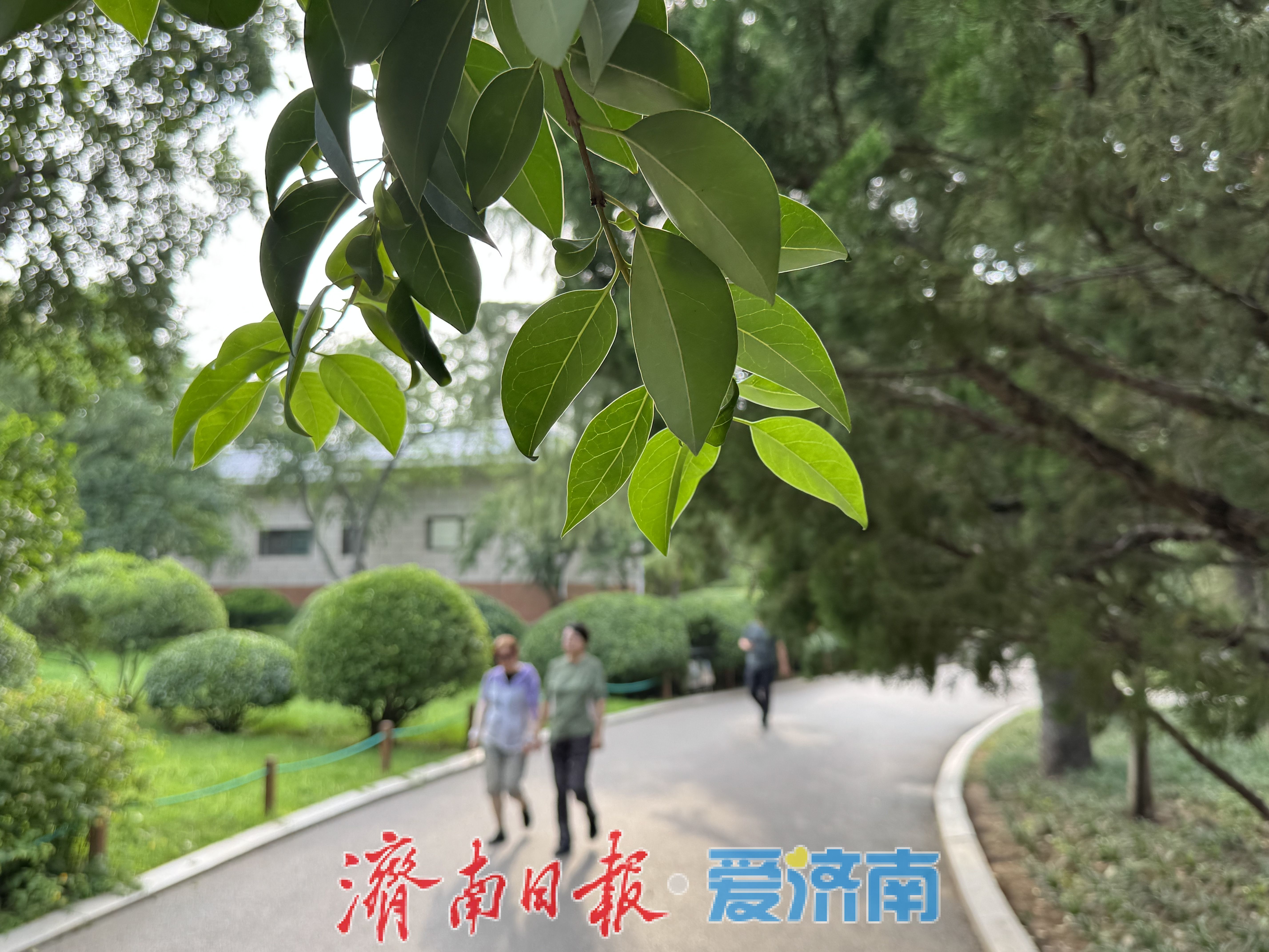 一年四季 泉在济南丨初秋休闲好去处 泉城公园景致佳