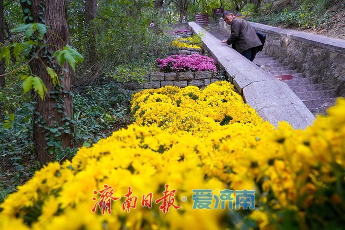 登历山极顶 览泉城新卷 千佛山城市观景平台全新亮相