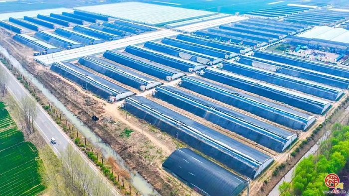 听，加压奋进的新乐章在章丘奏响！