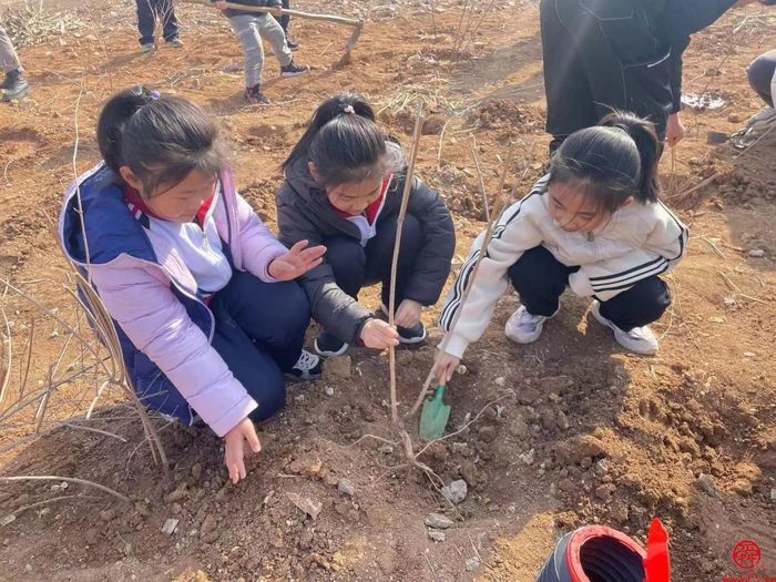 草长莺飞春意浓，义务植树赴青山——济南市莱芜第二实验小学三13中队开展义务植树活动