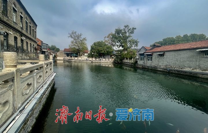 一年四季 泉在济南丨秋染泉池 静美如画