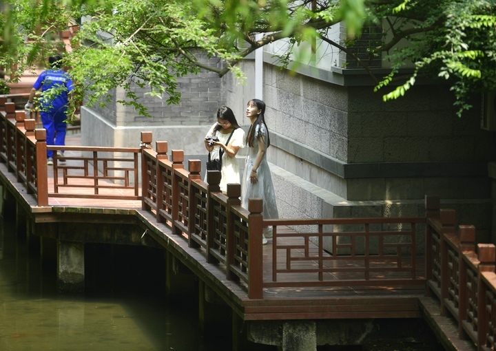 趵突泉水位节节攀升，“水涌若轮”景观已渐显