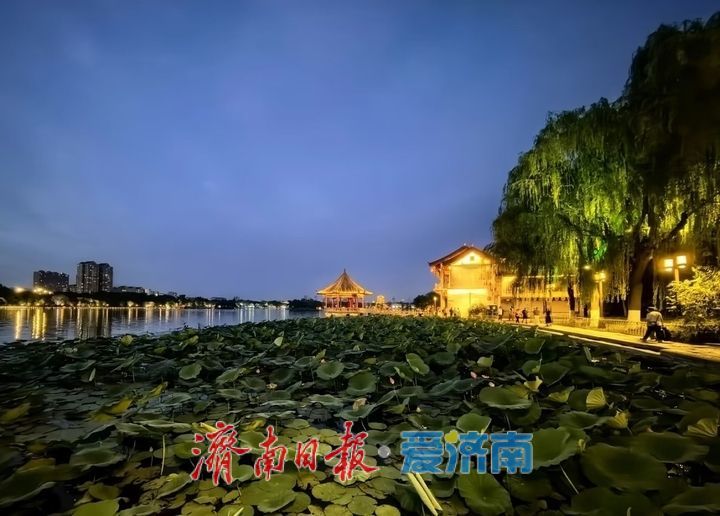趵眼｜“双节同台”，是独属于济南的夏日叙事