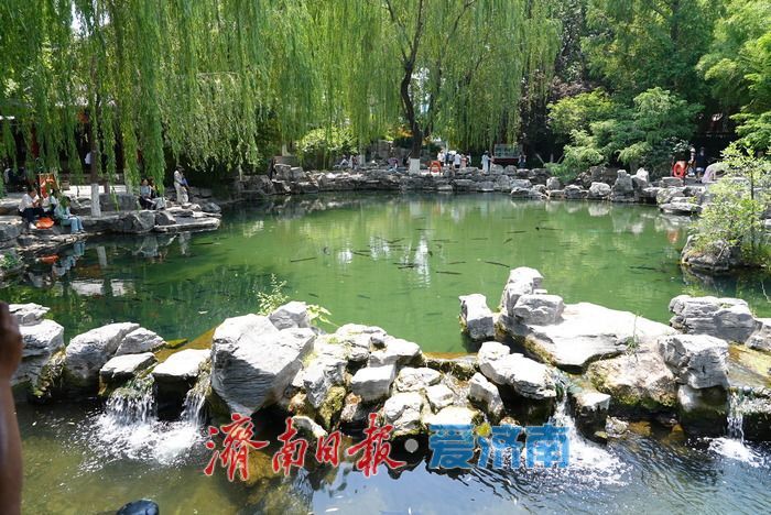 一年四季 泉在济南丨“泉如其名”，畅享无忧泉畔惬意时光