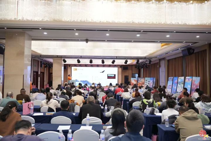 三千年胡杨赴岛城之约 额济纳旅游推介会青岛启幕，淡季政策成岛城关注焦点