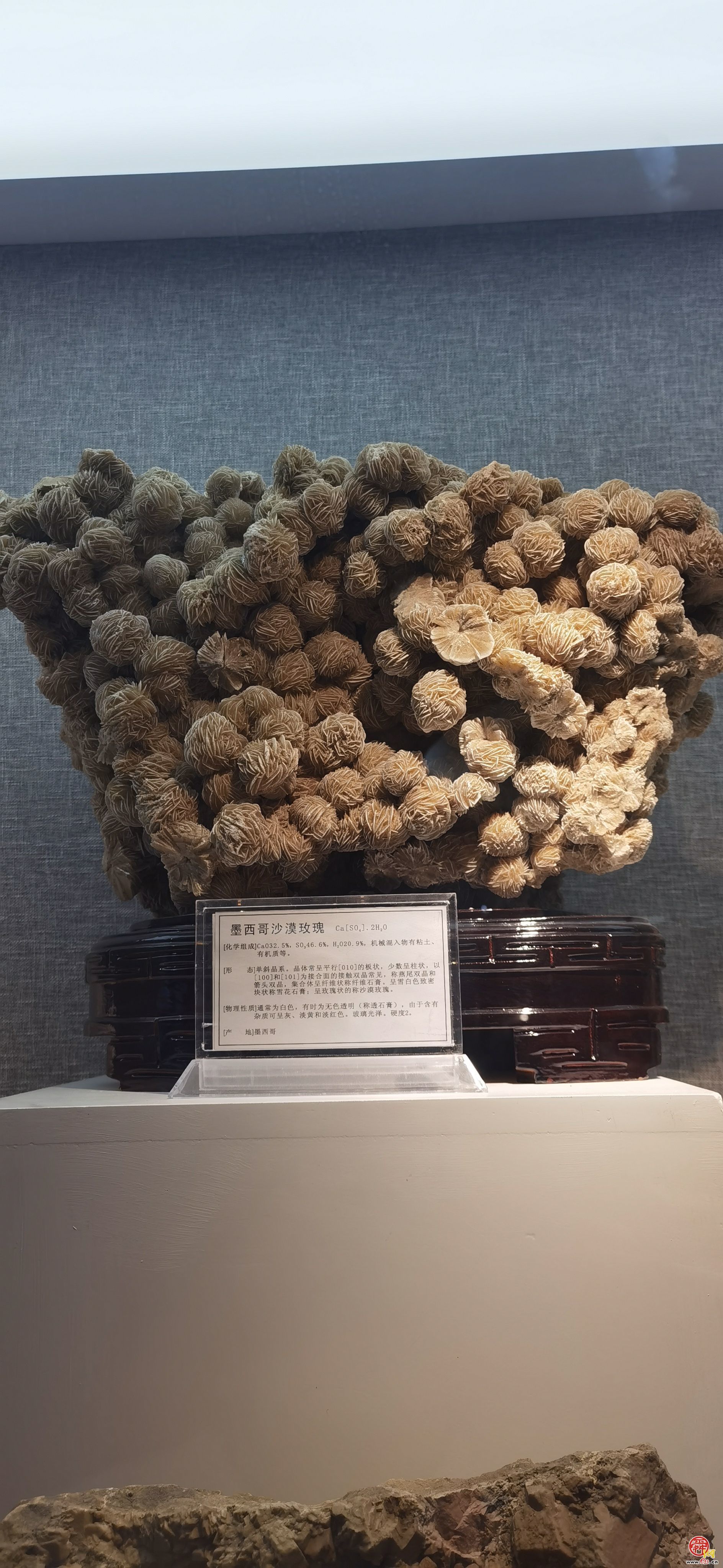 在这里“穿越”亿万年前 走进山东探矿博物馆