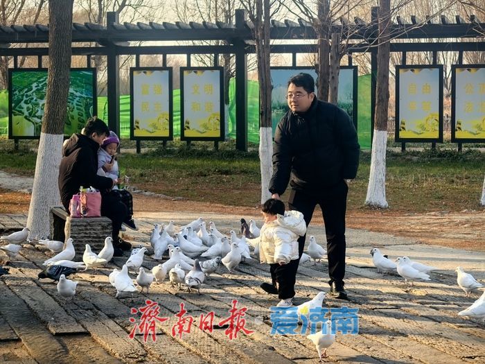 风过苇梢，湖映冬阳 济西湿地的冬日限定美好