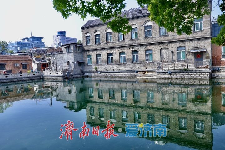 济南王府池子水质清澈见底，春日赏泉正当时
