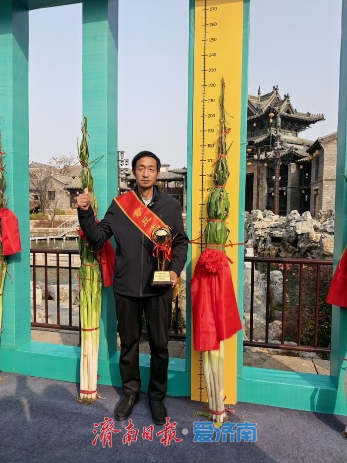 2.27米，2025章丘葱王诞生