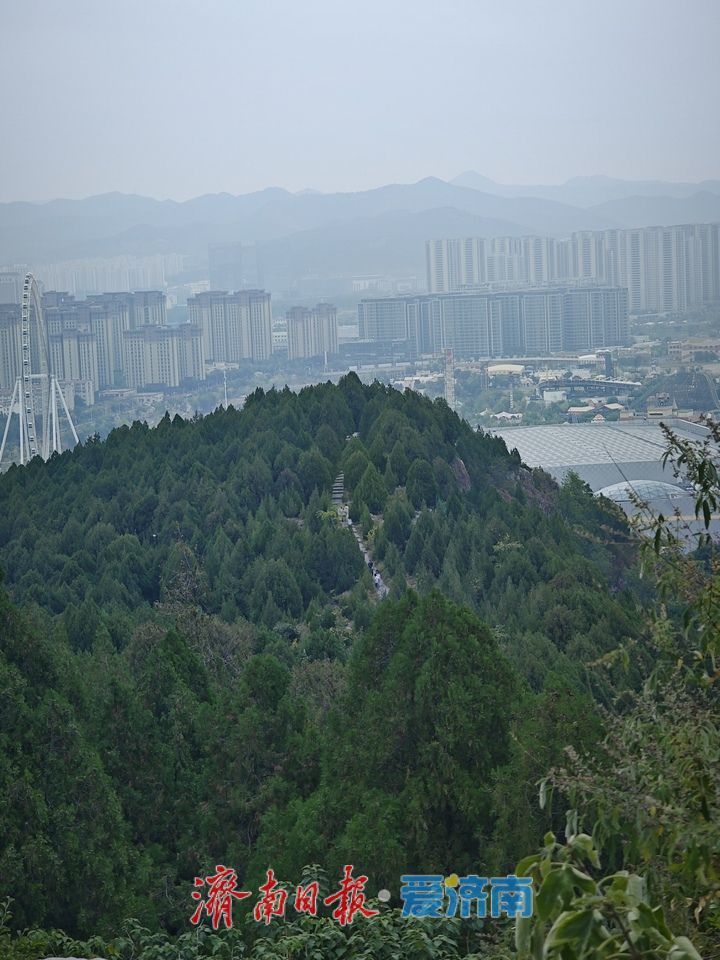 秋日登高乐享假期 凤凰山成市民休闲好去处