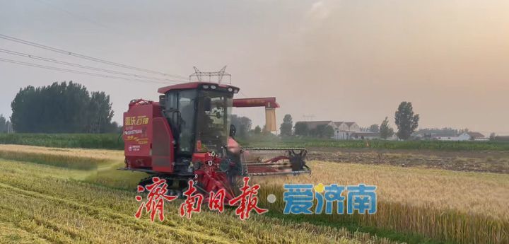 他们用短视频打开农忙市场—— 四个“00后”的麦收故事