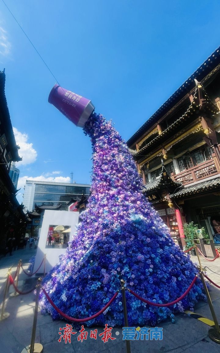 一年四季 泉在济南丨大观园里一声“老师儿” 道尽泉城烟火情