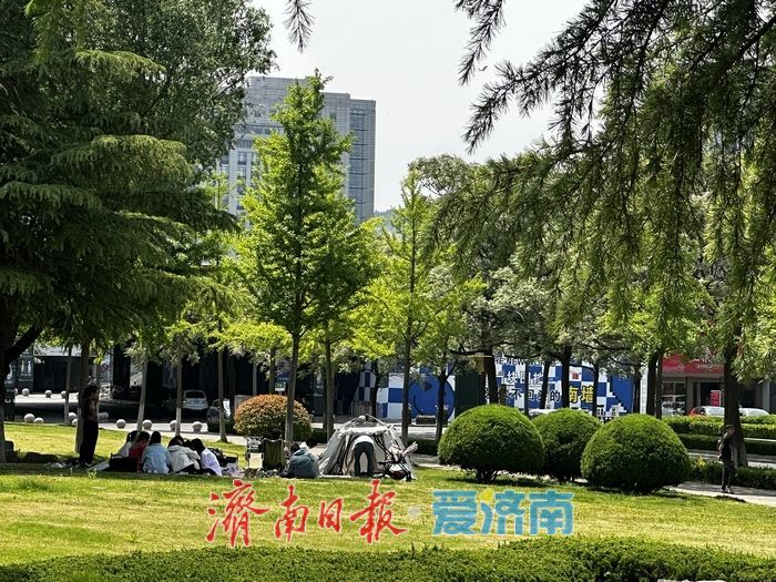 近郊露营“一位难求”？济南市区就有块人少好停车的“宝藏”绿地