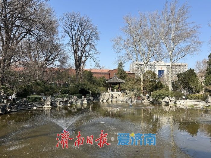 赏花健身淘旧书 济南中山公园解锁春日休闲新方式