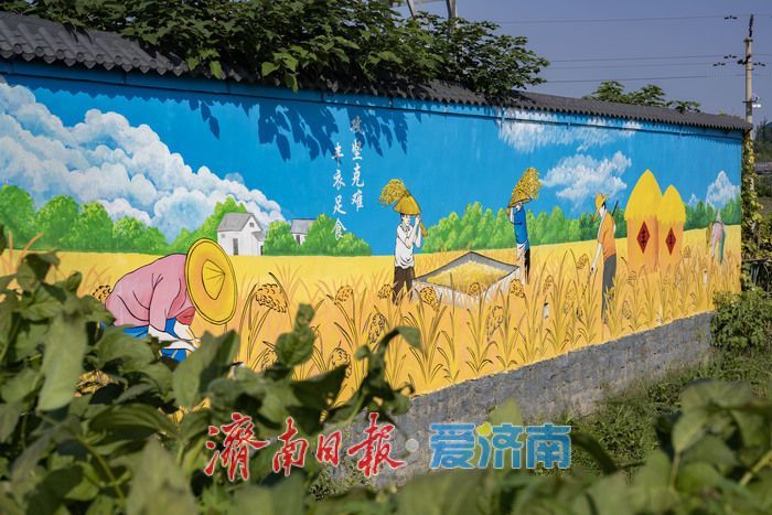 稻熟时节，邂逅乡村生态之美