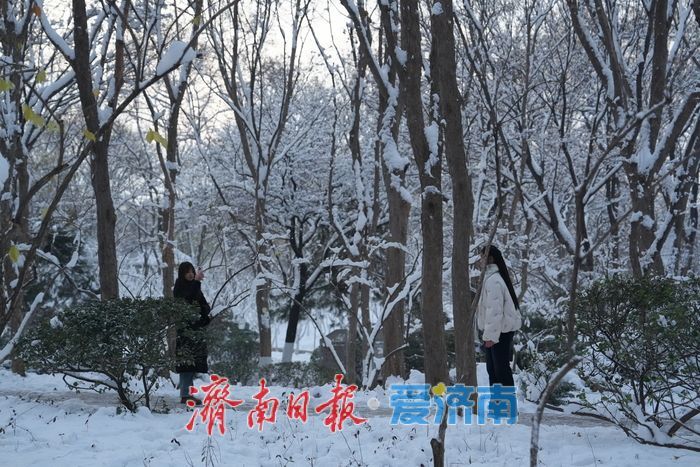 初雪勾勒“冰雪秘境” 泉城公园变身冬日热门打卡地