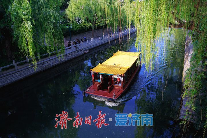 一年四季 泉在济南丨水清岸绿景如画 初夏护城河绘就生态画卷