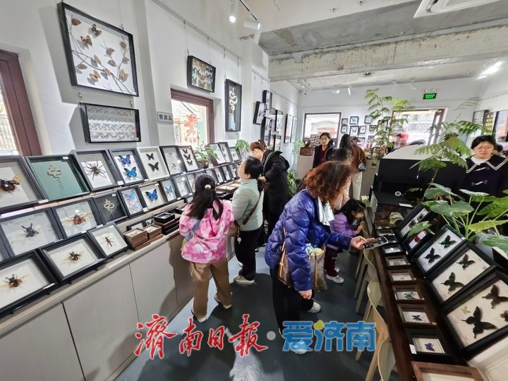 一年四季 泉在济南丨老街藏秘境 潮趣引客来