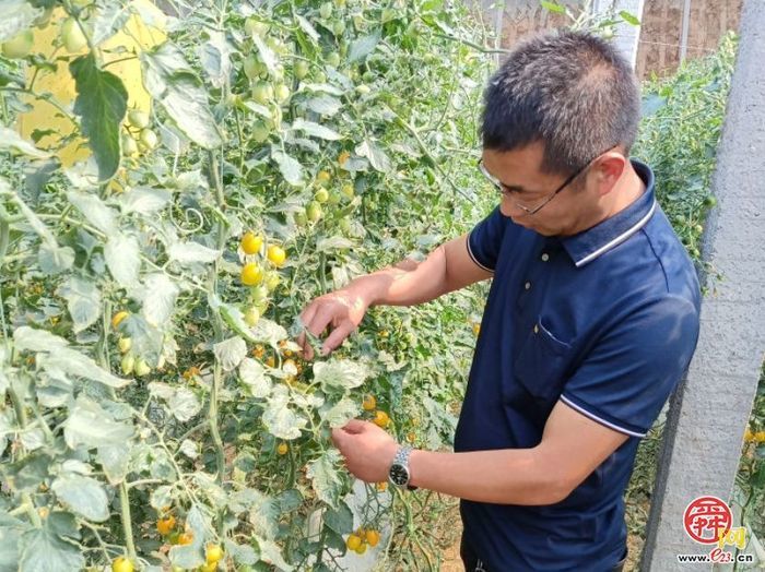 官庄街道：一名80后“兵支书”的“美丽乡愁”