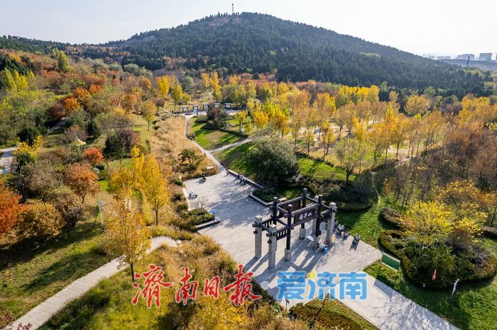 登高赏秋正当时！围子山郊野公园“绚烂”出圈，转身直达“枫”景线