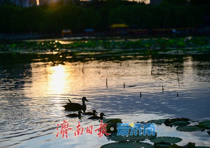 一年四季 泉在济南 