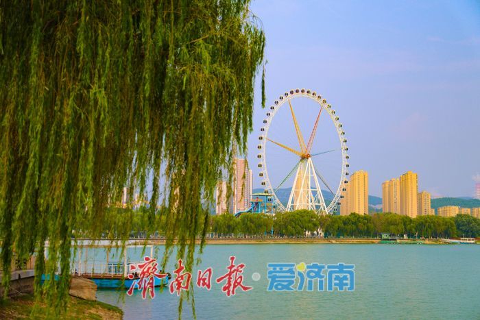 一年四季 泉在济南丨夏木繁阴清风徐来 长清园博园邂逅治愈午后时光