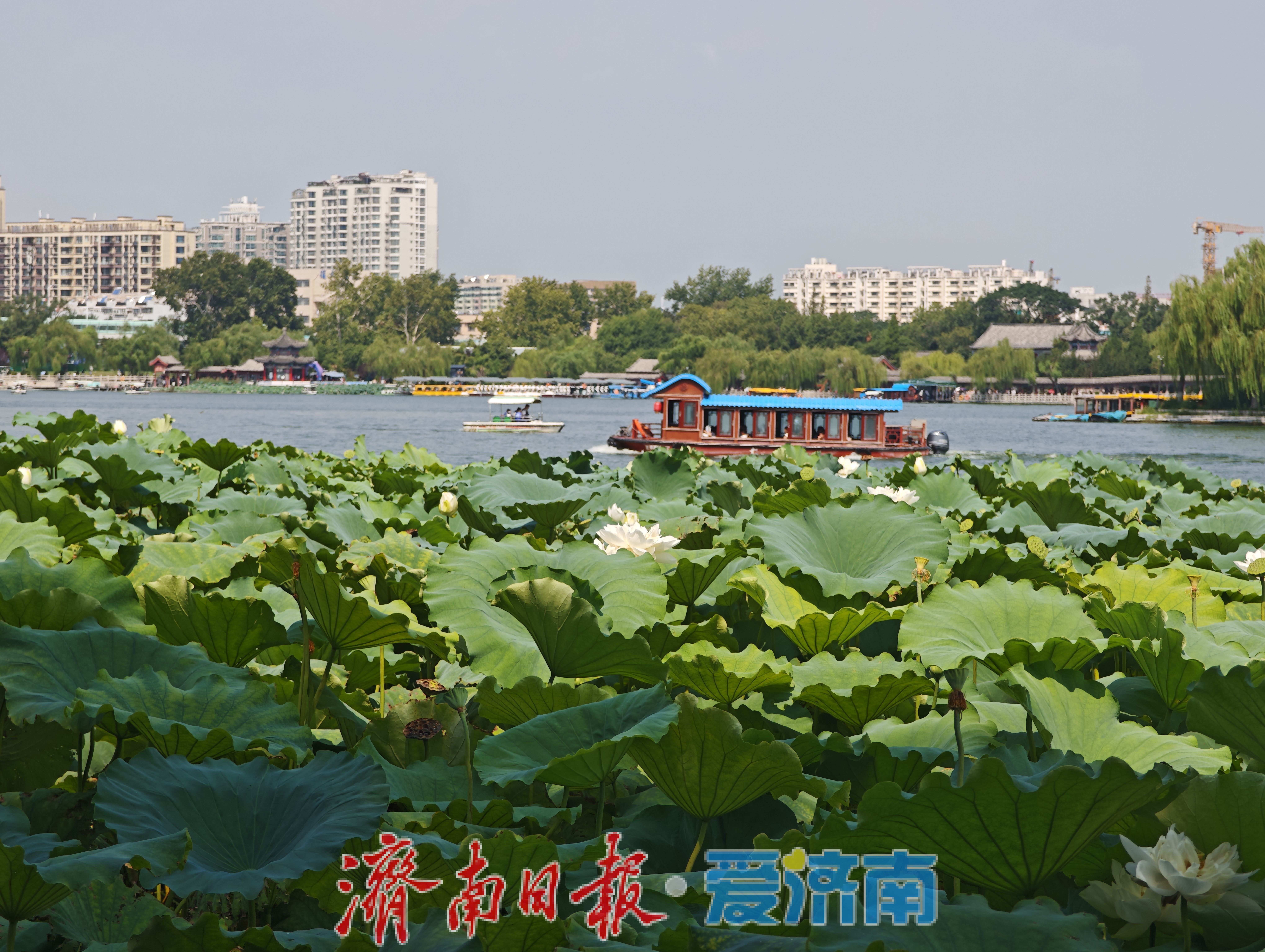 本周济南雷阵雨频繁光顾，基本无高温天气