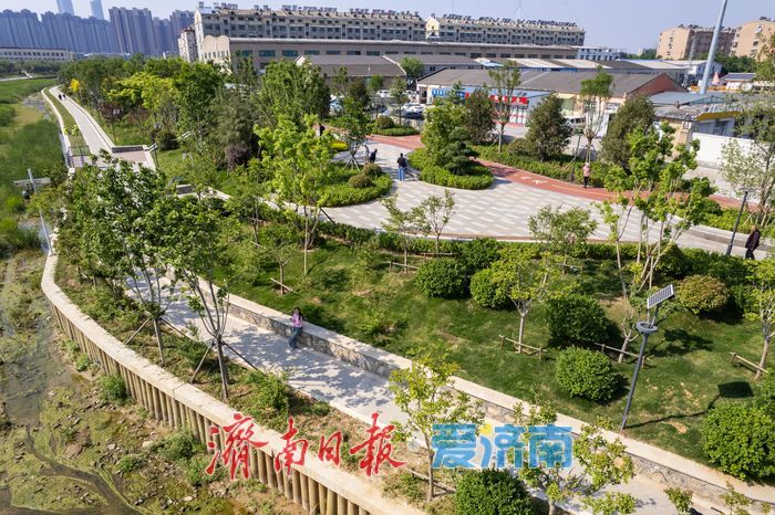 大辛河畔绿意浓，市民乐享“家门口”的春日假期