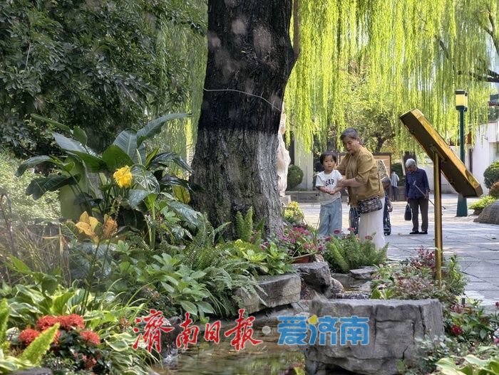 雾起溪畔，在园林间遇见清泉漫石之美