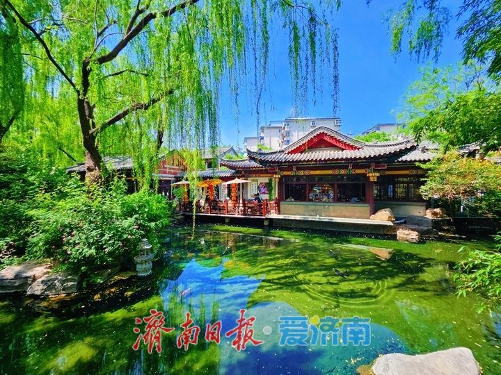 一年四季 泉在济南丨泉润园林景如画 古韵新风醉游人