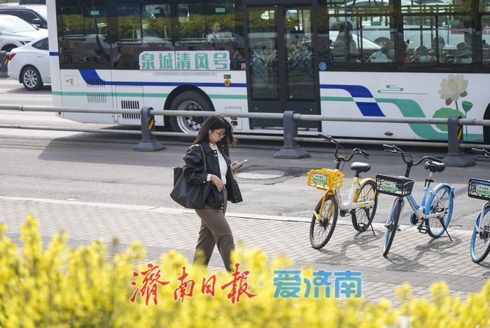 泉城人才公园油菜花盛开