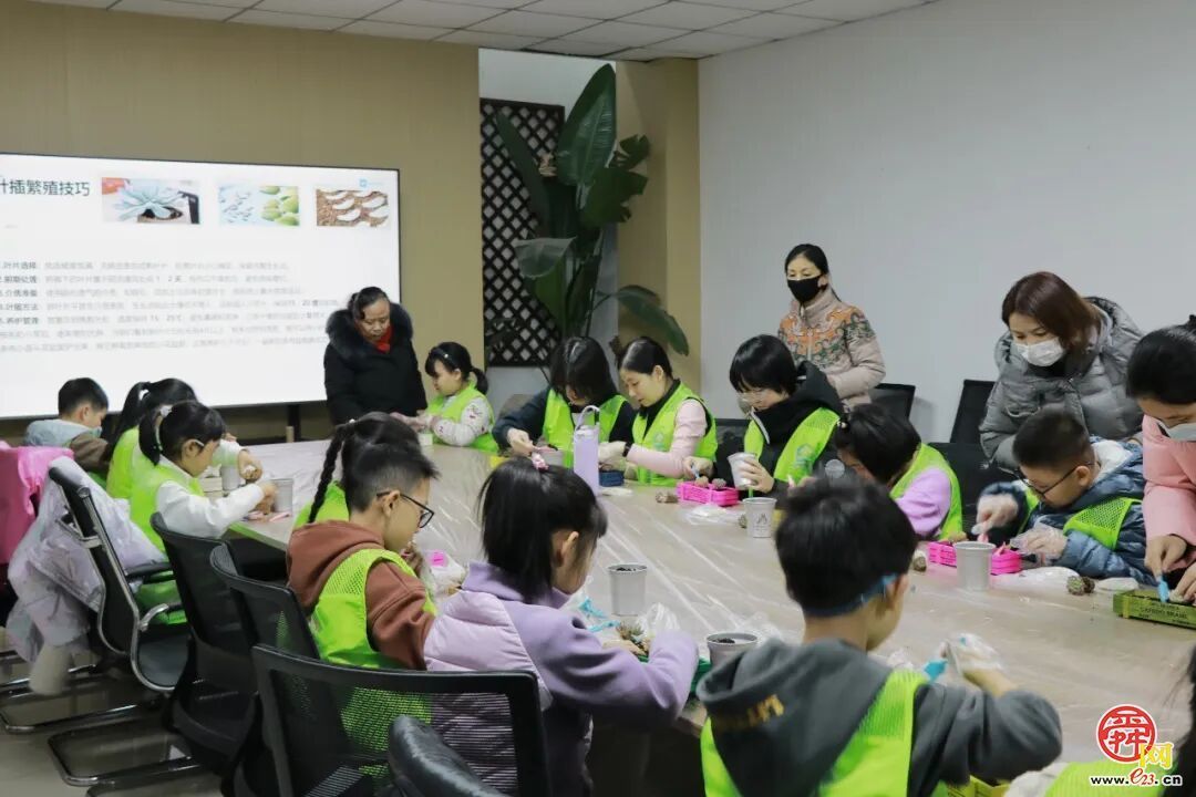指尖塑绿意，公益暖泉城——济南泉民园艺中心联合辰星公益开展多肉DIY温暖陪伴活动