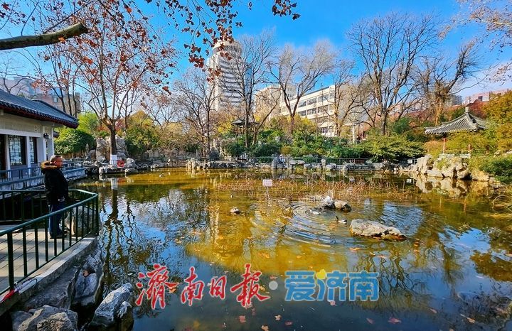 一年四季 泉在济南丨济南中山公园冬韵悠悠