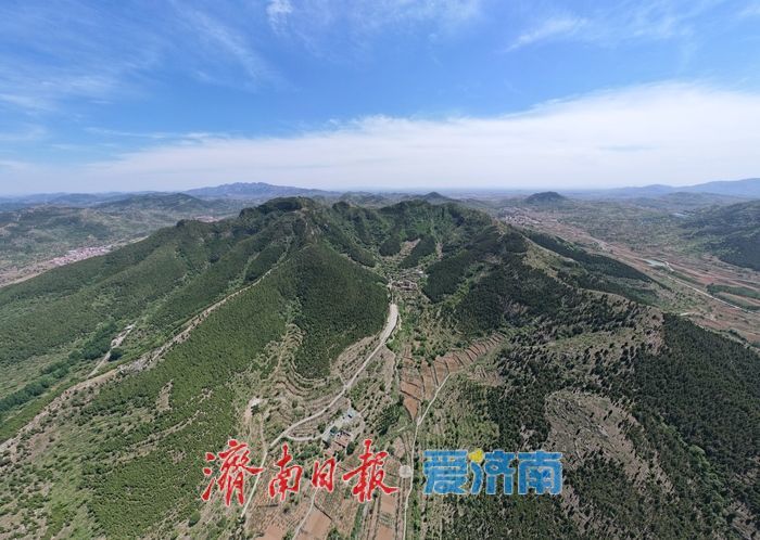 一年四季 泉在济南｜五月风光好！鹁鸽楼水库水光潋滟美如画卷