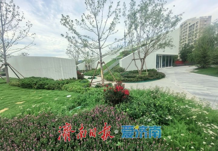 项目强省会｜综合提升换新颜，济南杨家河公园部分区域向市民开放