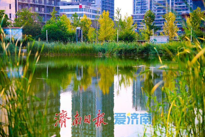 初秋黄昏 绘就绸带公园诗意画卷