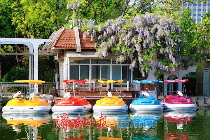 谷雨时节春意盛 市民游园赏景正当时
