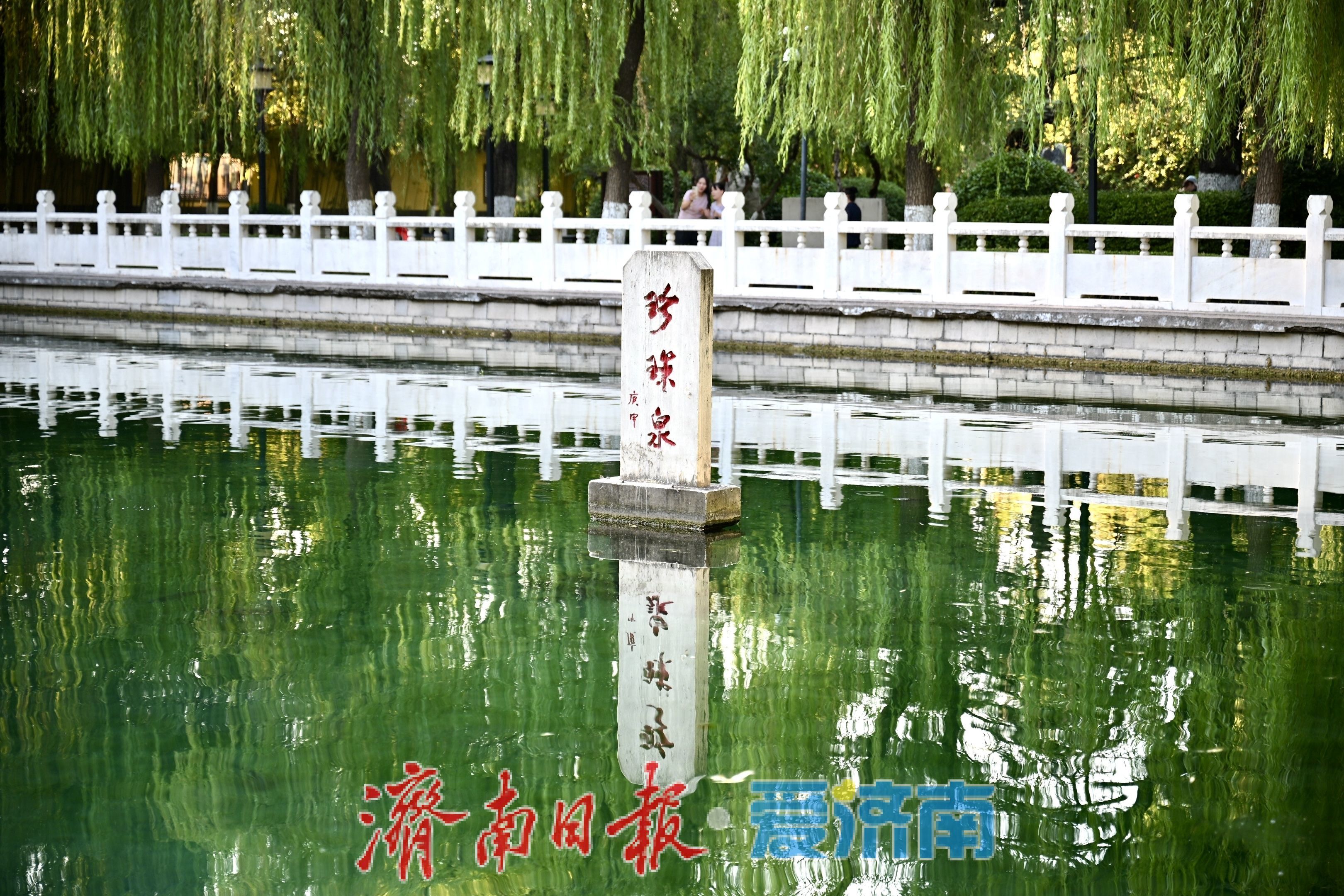 秋染珍珠泉 泉城古韵引游人沉醉