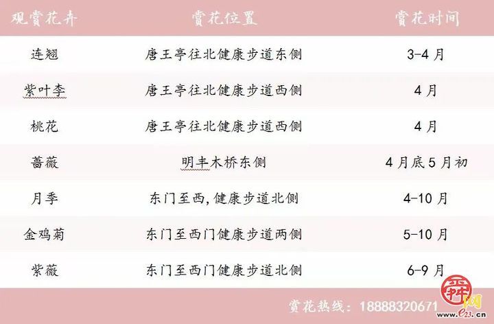 “马”上开花！章丘城区公园赏花地图出炉，开启春日好时光！